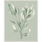 Tonal Green Ferns II by Elizabeth Medley Framed Canvas Wall Art